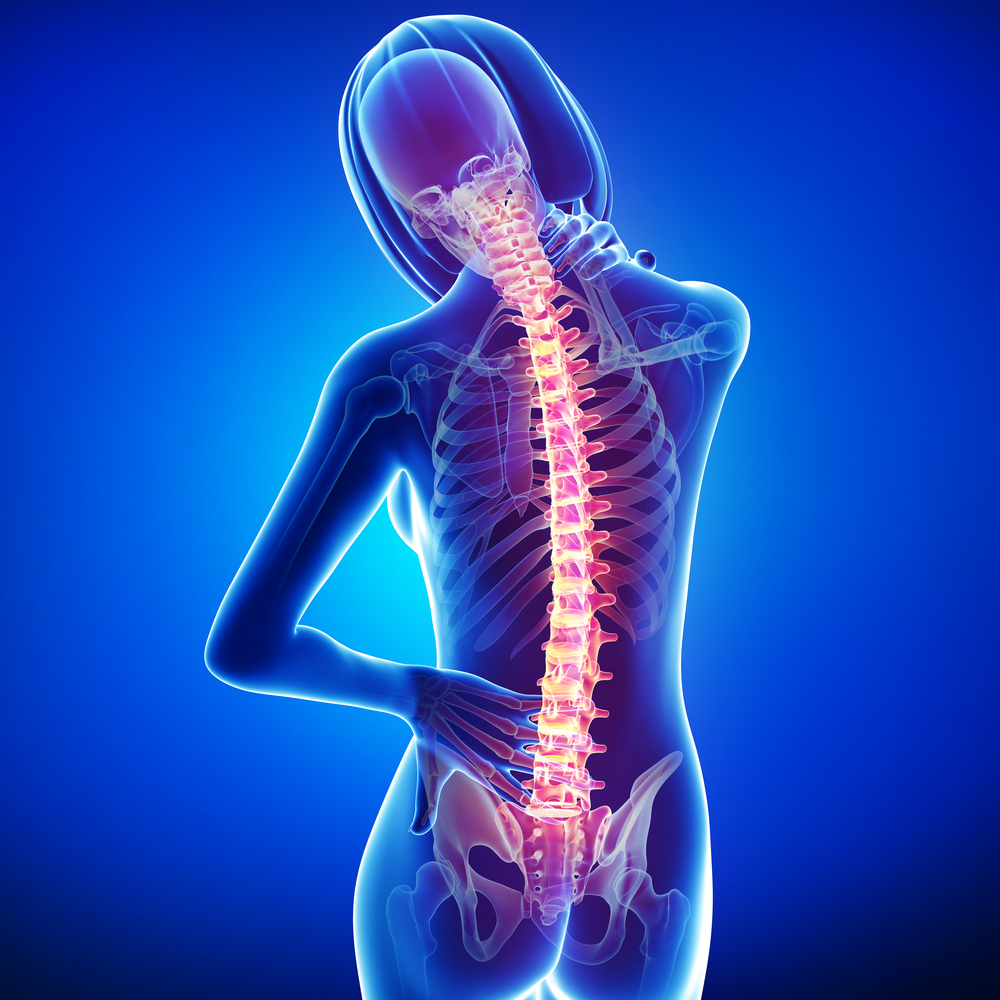 Neck Pain Doctor - 3d anatomical illustration spine and neck